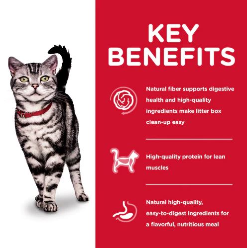Hills Science Diet Cat Food Indoor