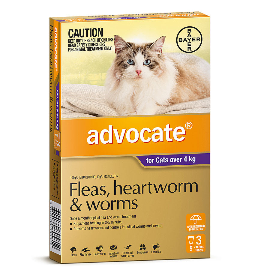 Advocate Cats Over 4 Kg Purple