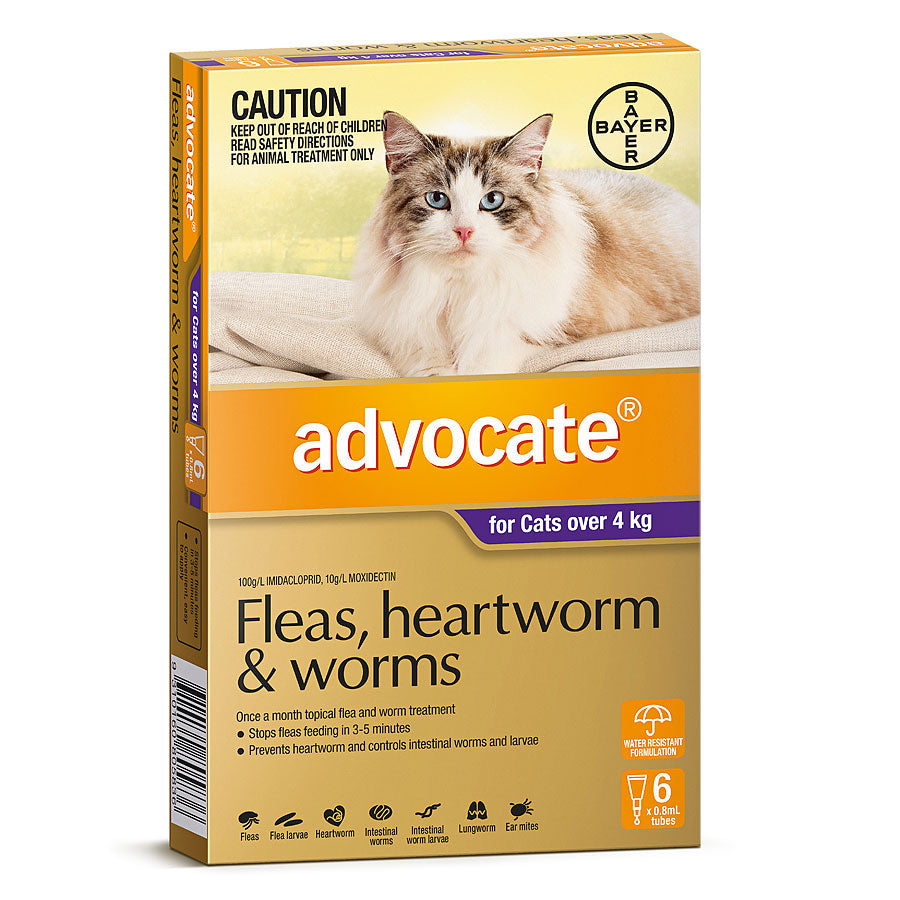 Advocate Cats Over 4 Kg Purple
