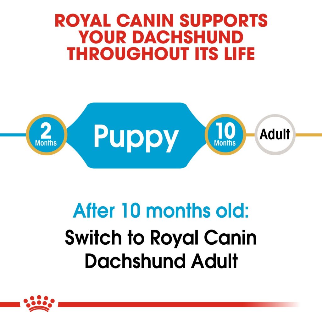 Royal Canin Dog Dachshund Junior 1.5kg