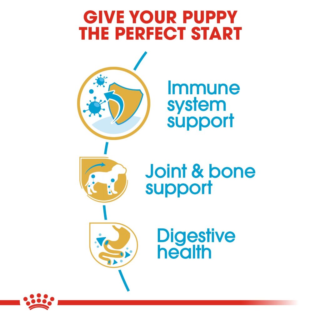 Royal Canin Dog Dachshund Junior 1.5kg
