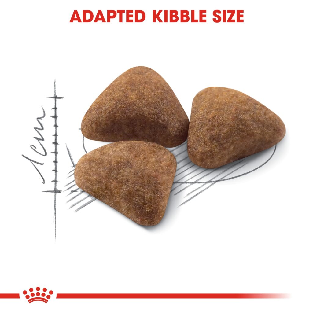 Royal Canin Feline Indoor