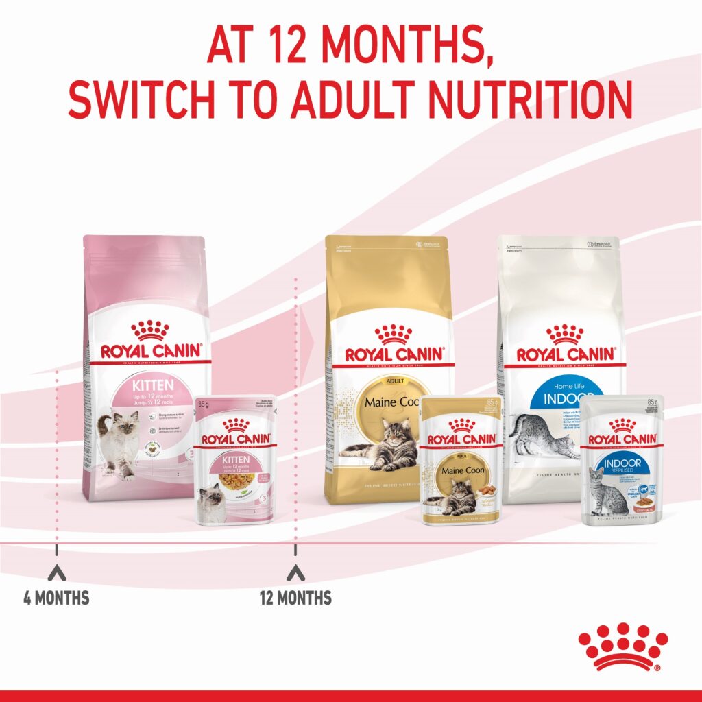 Royal Canin Kitten Jelly 85g
