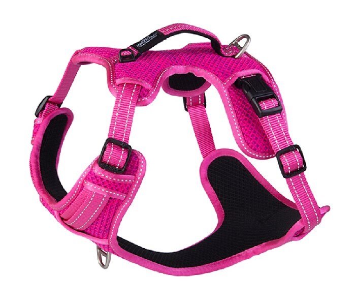 Explore Dog Harness Pink SMALL