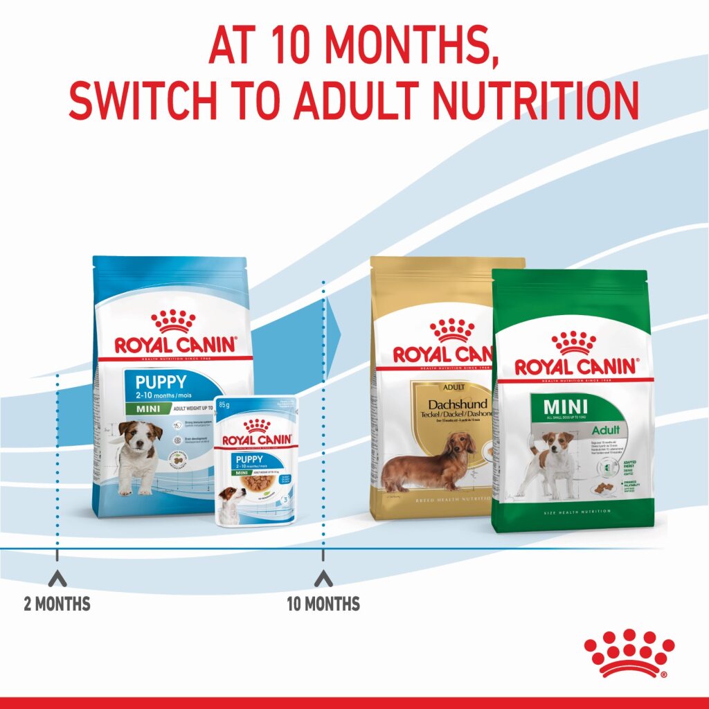 Royal Canin Dog Mini Puppy