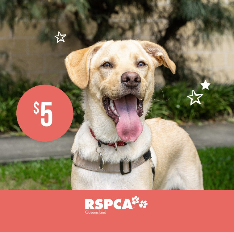 Christmas Donation $5