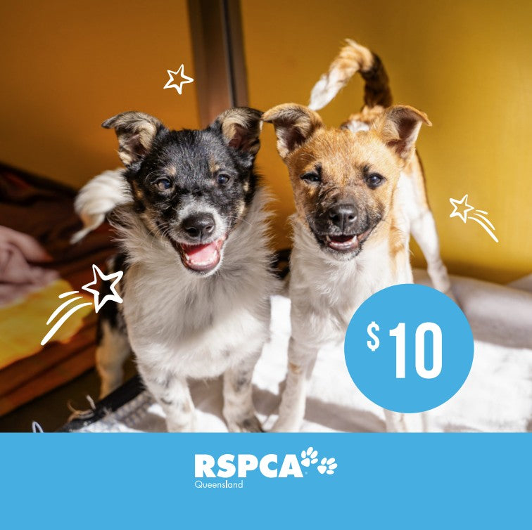 Christmas Donation $10