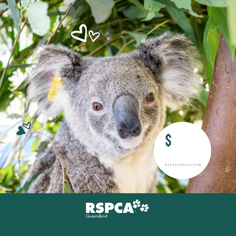 Christmas Donation $50