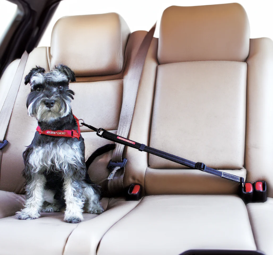 EzyDog Car Adjustable Basic Seatbeat Attachment Black