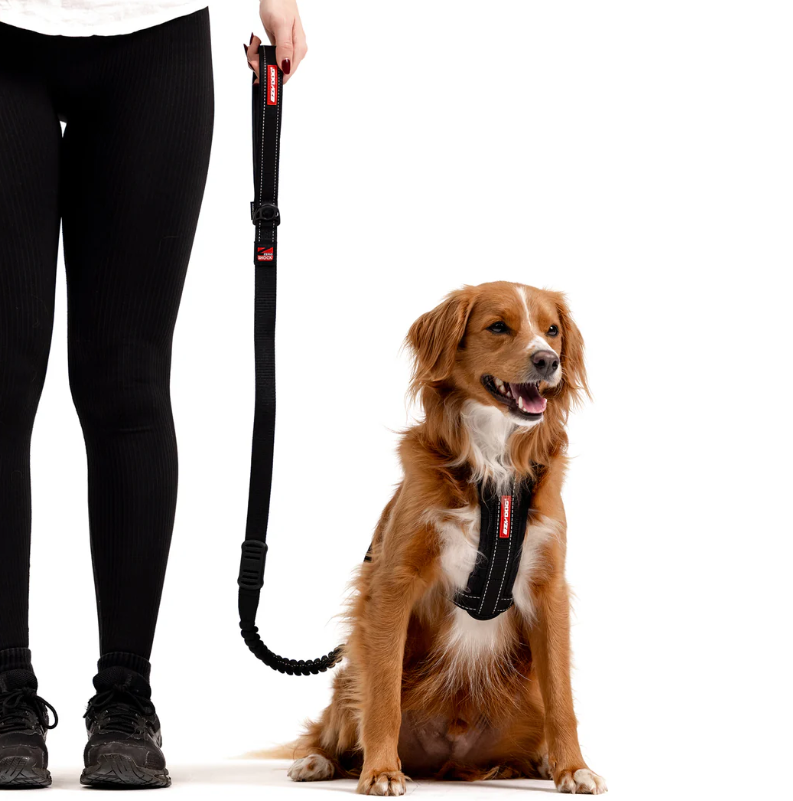 EzyDog Leash Zero Shock Black