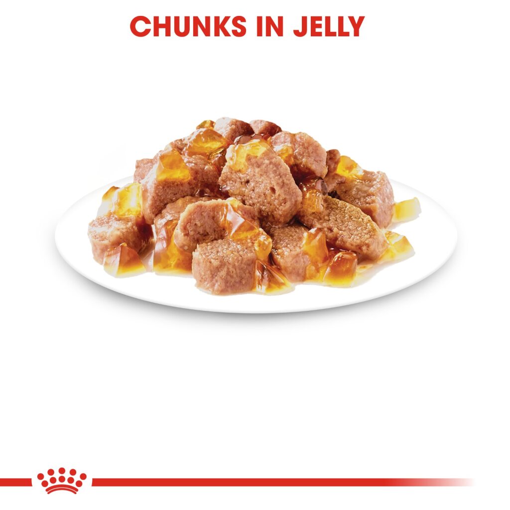 Royal Canin Feline Indoor Jelly 85g