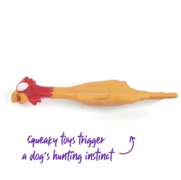 Latex Dog Toy Chicken Design 40cm