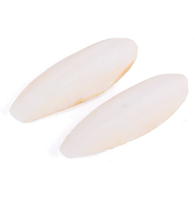 Bird Treat - Cuttlebone Natural 2 Pack - Small