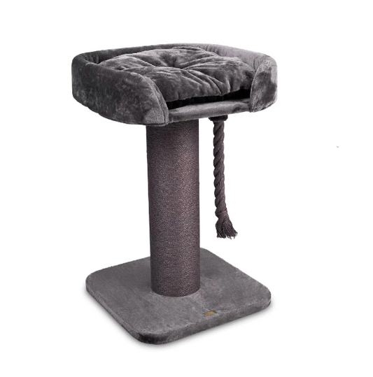 Cat Post High Bed Design Charcoal W60xD60xH100cm