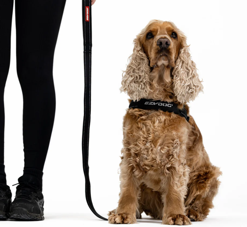 EzyDog Leash Essential Black 48 120cm