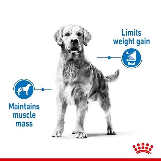 Royal Canin Dog Medium Light Weight Care
