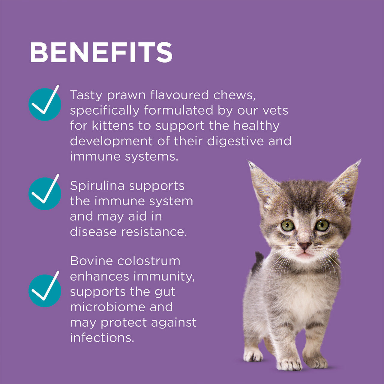 Paw Digest Protect Kitten Care 75g