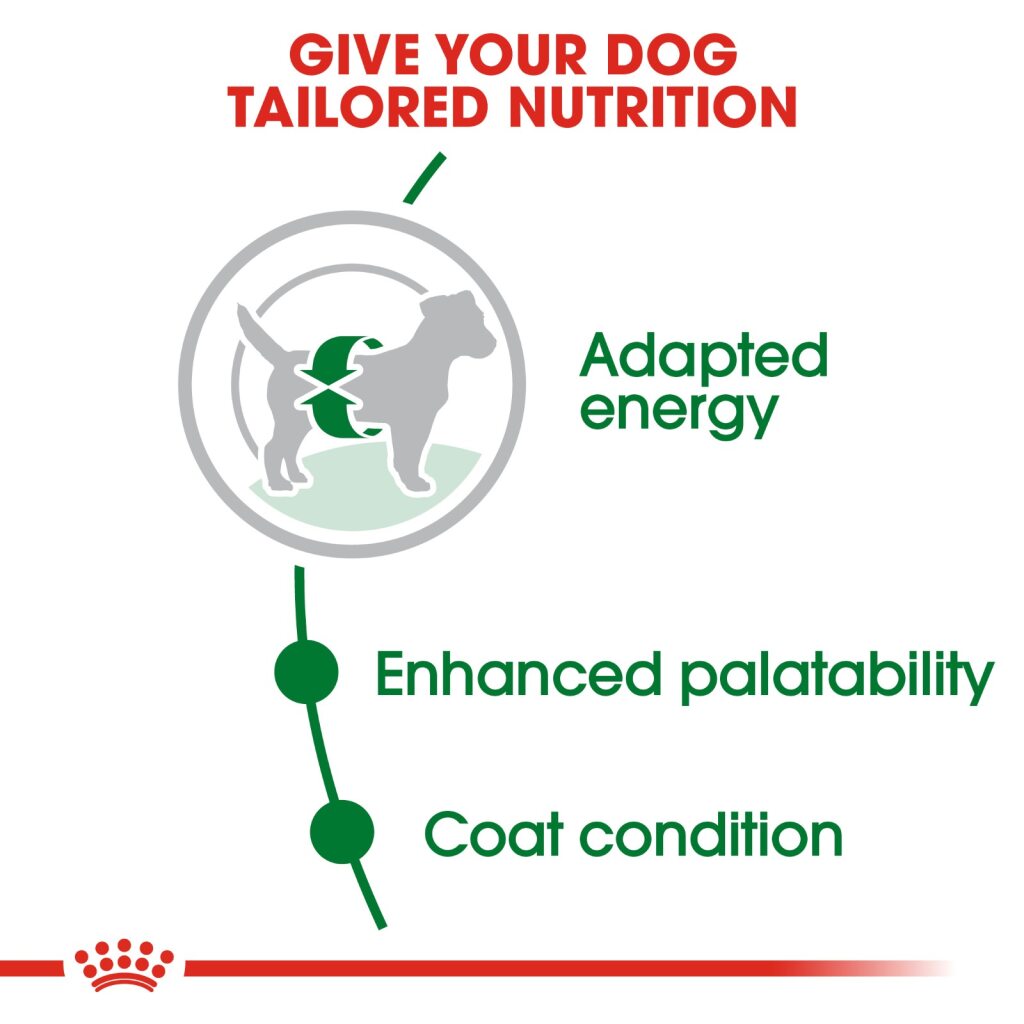 Royal Canin Dog Mini Adult