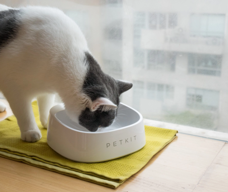 Petkit Fresh Smart Weight Bowl White