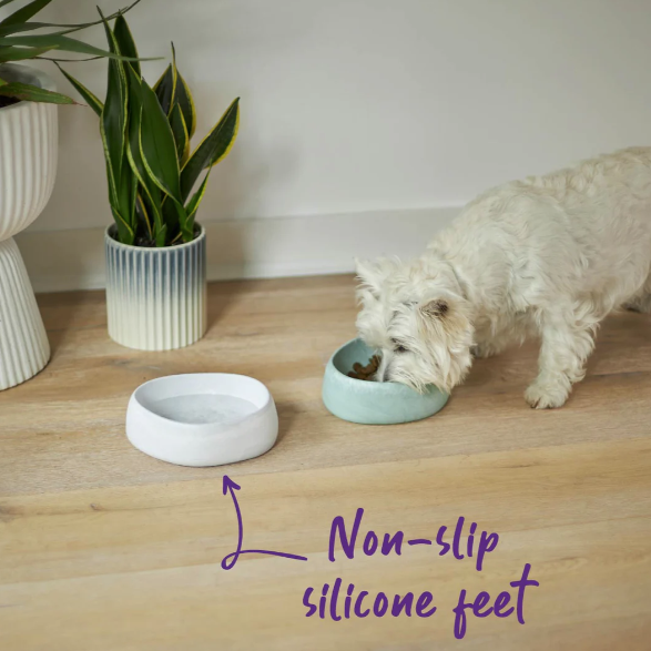 Kazoo The Better Bowl Sage Green