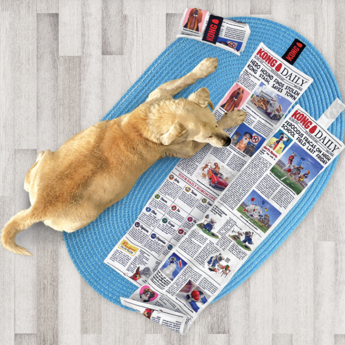 KONG Newspaper