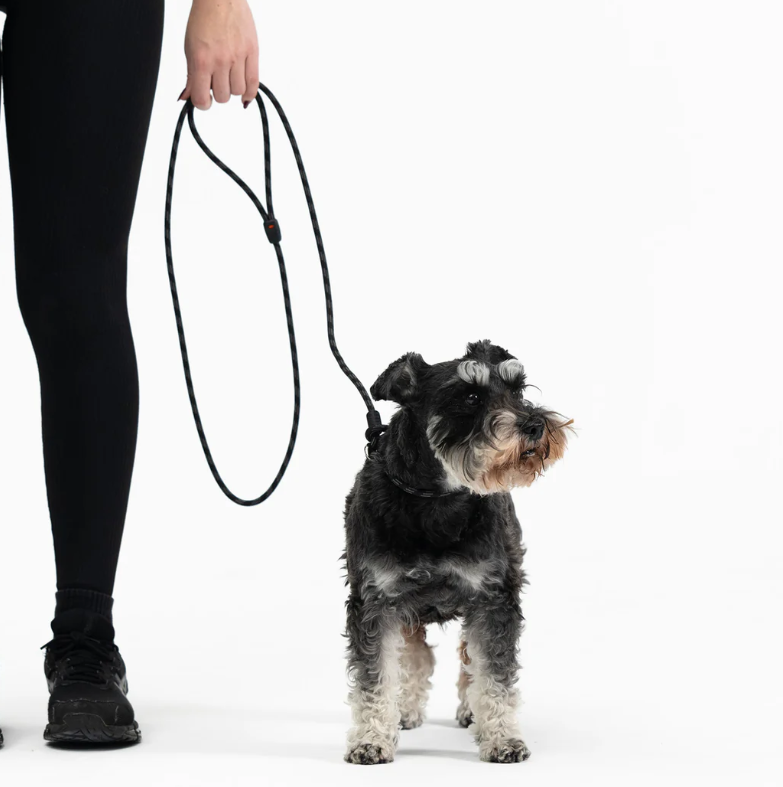 EzyDog Leash Luca Lite Black 6mm 67"
