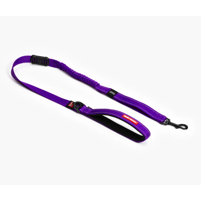 EzyDog Leash Zero Shock Purple