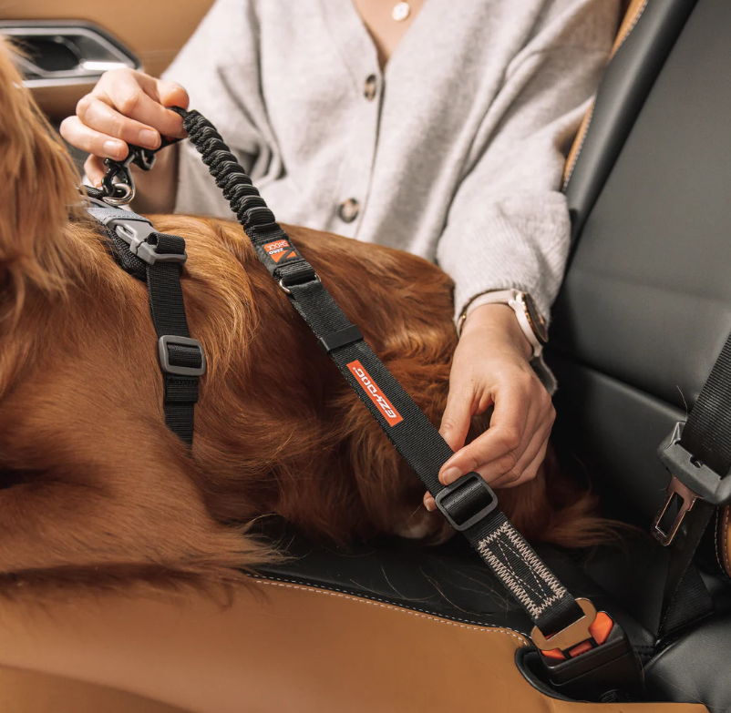 EzyDog Click Zero-Shock Car Restraint Black