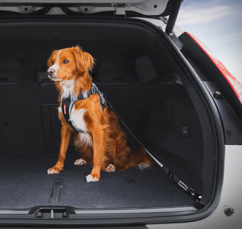 EzyDog ISOFIX Cargo Car Restraint Black