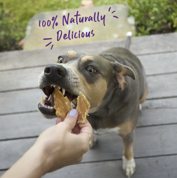 Kazoo Prime Cuts Chicken Breast 300gm