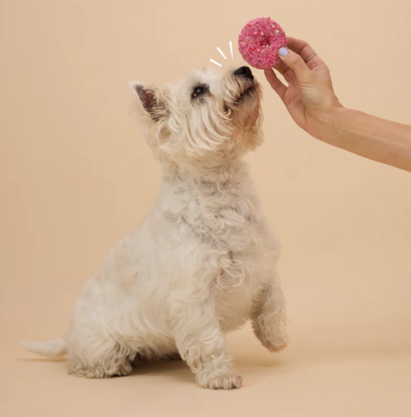 Kazoo Barneys Barkery Dog Donut Biscuit - Pink 36gm