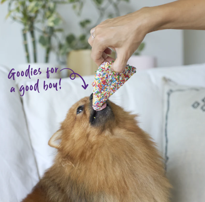 Kazoo Barneys Barkery Dog Fairy Bread 50g