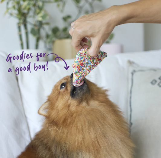 Kazoo Barneys Barkery Dog Fairy Bread 50g