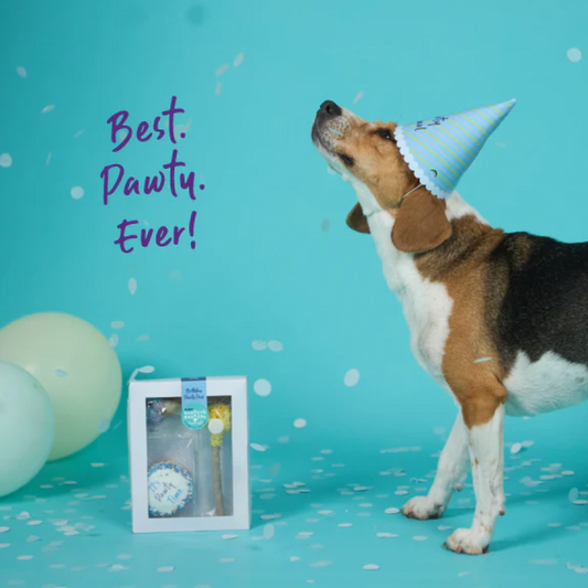 Kazoo Barneys Barkery Dog Birthday Party Pack -Blue 150g