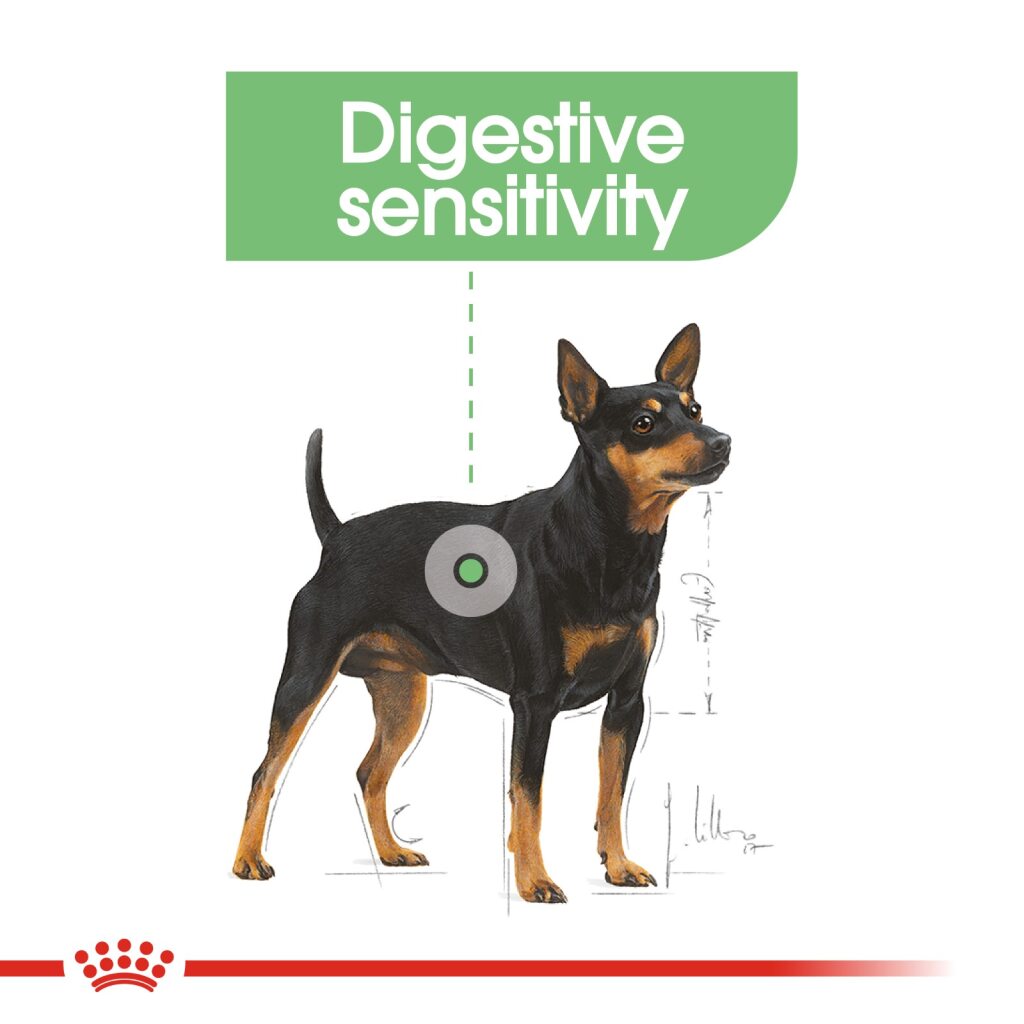 Royal Canin Canine Digestive Wet Food 85g