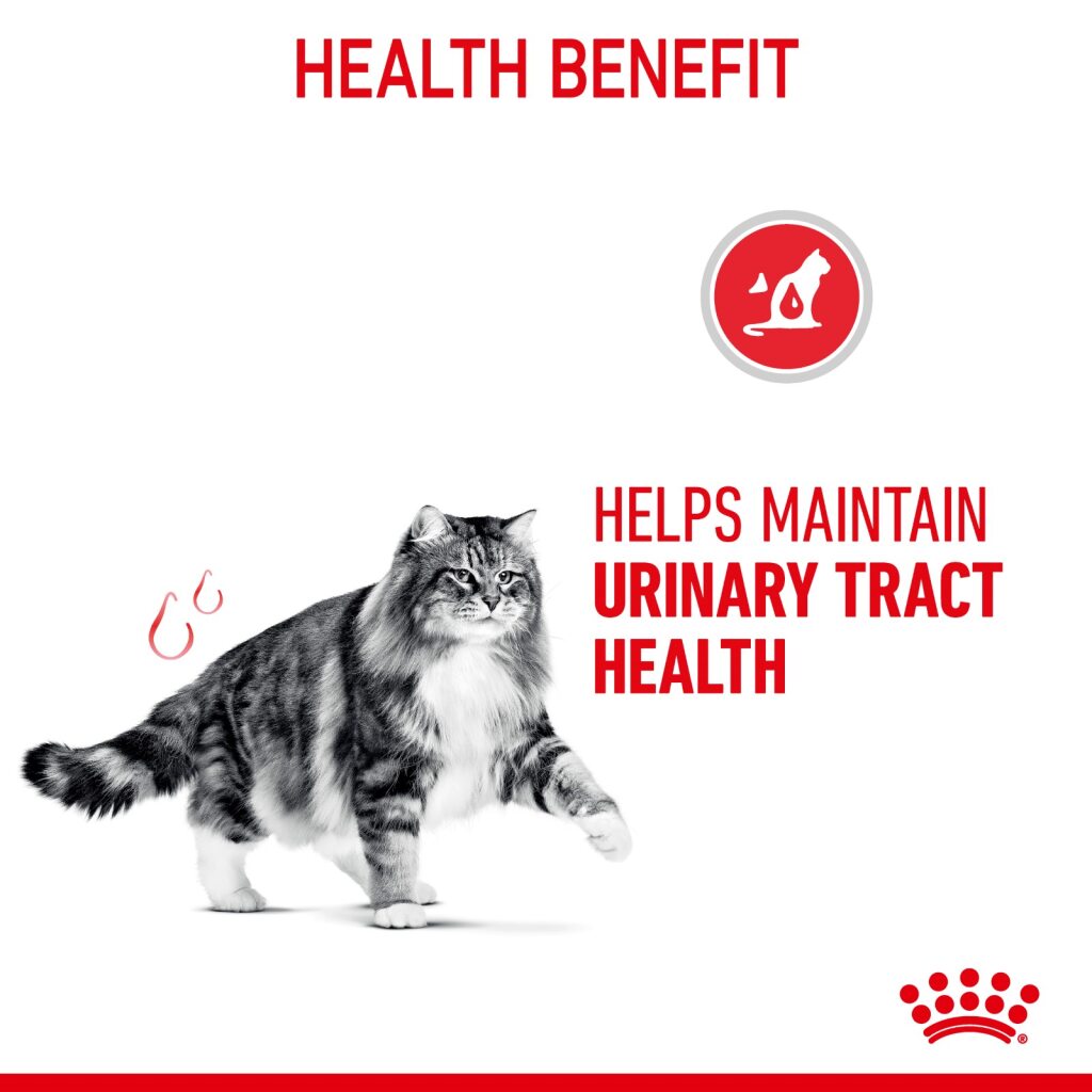 Royal Canin Feline Urinary Care