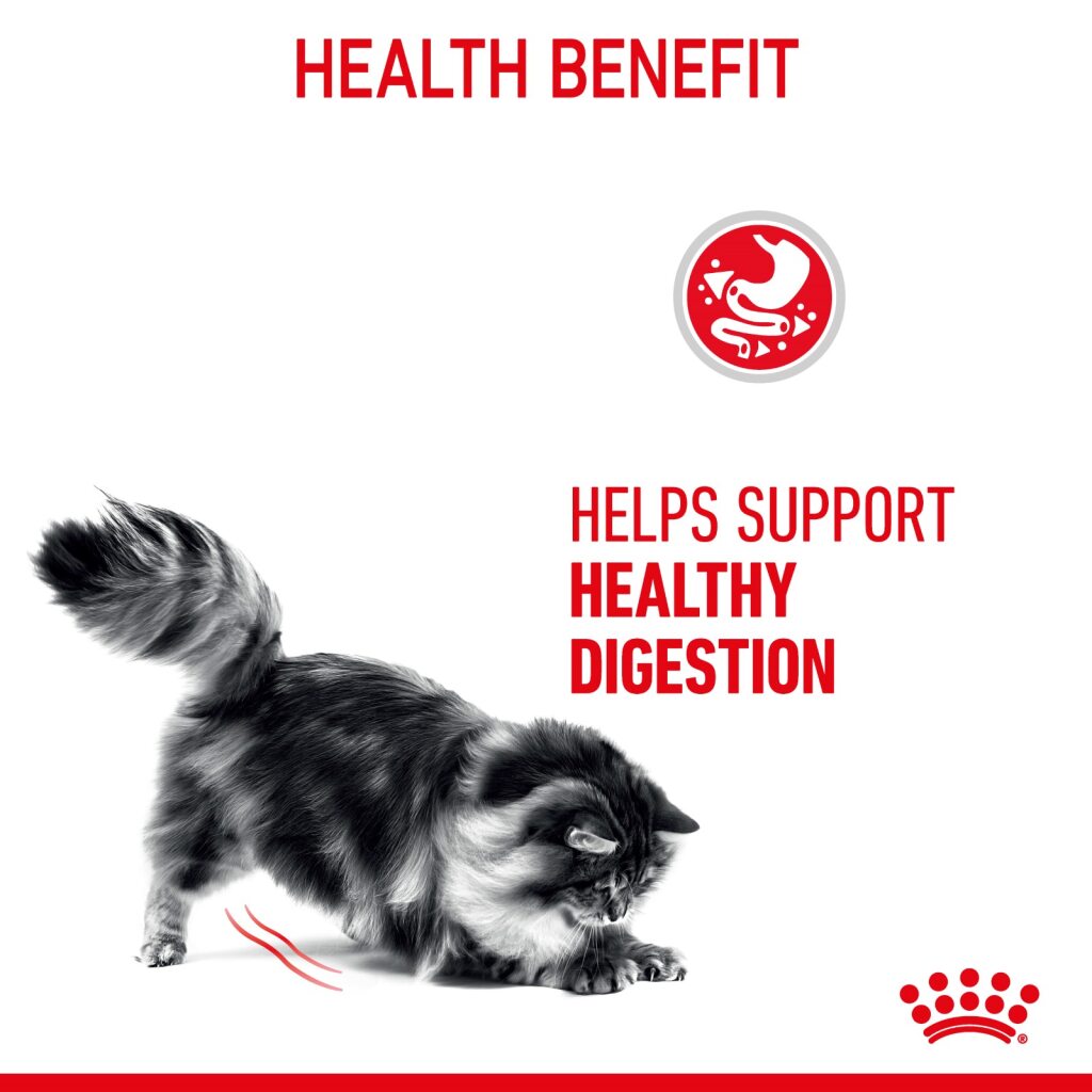 Royal Canin Feline Digestive Gravy 85g