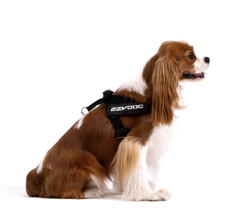 EzyDog Express Harness Black