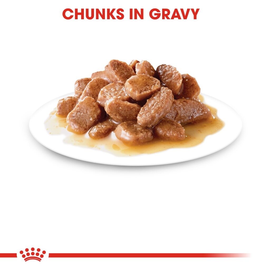 Royal Canin Feline Instinctive Gravy 85g