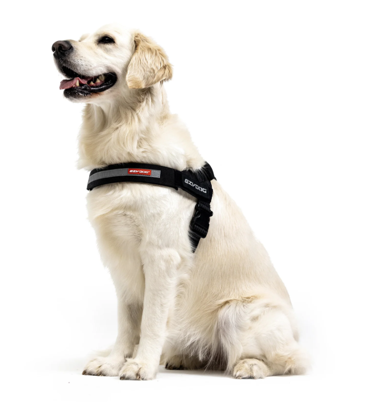 EzyDog Express Harness Pink