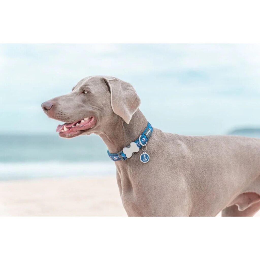 Red Dingo Dog Collar Nautical Navy XSMALL