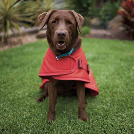 Kazoo Adventure Coat W/Harness Hatch Red I