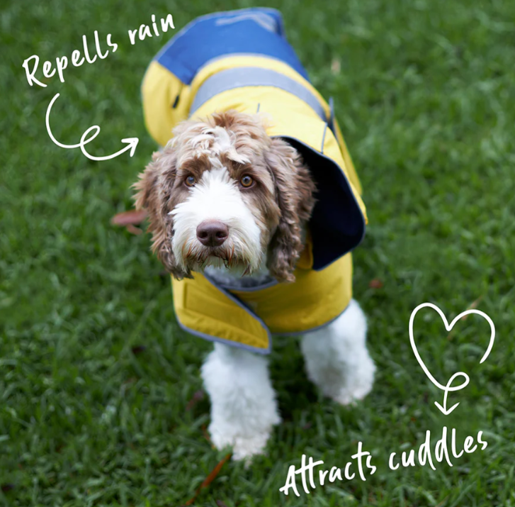 Kazoo Cosy Rain Coat Mustard