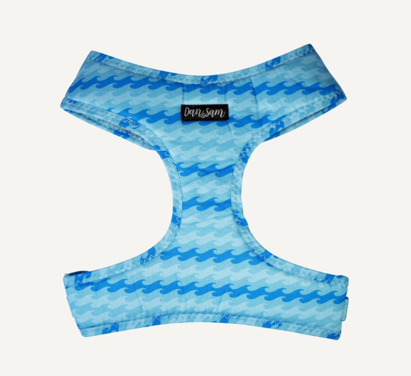 Dan & Sam Dog Harness Coastal
