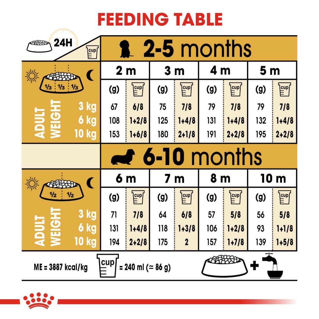 Royal Canin Dog Dachshund Junior 1.5kg