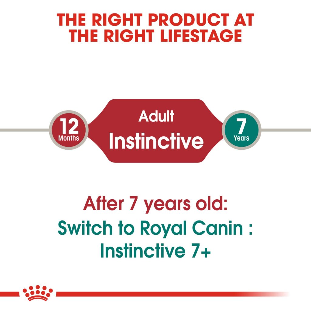 Royal Canin Feline Instinctive Gravy 85g