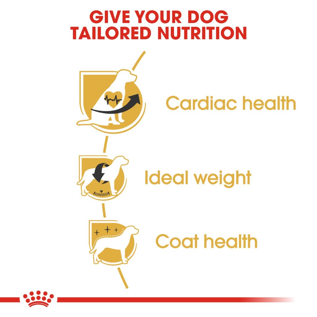 Royal Canin Cavalier Cavalier King Charles 3 kg