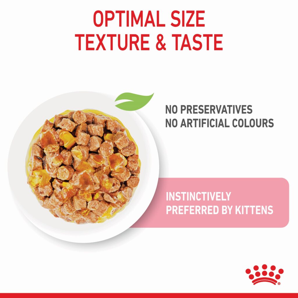 Royal Canin Kitten Jelly 85g