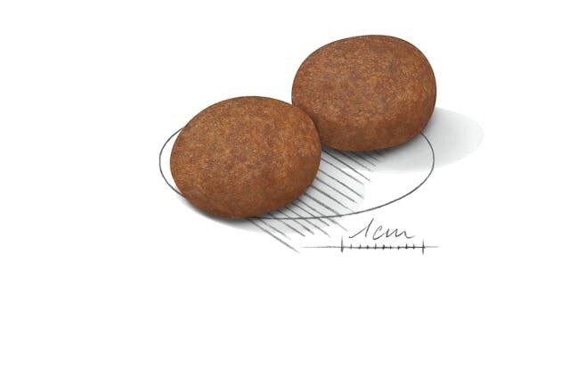 Royal Canin Medium Medium Adult 7+ Mature 15 kg