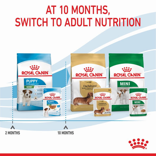 Royal Canin Mini Puppy Wet Food 12*85g